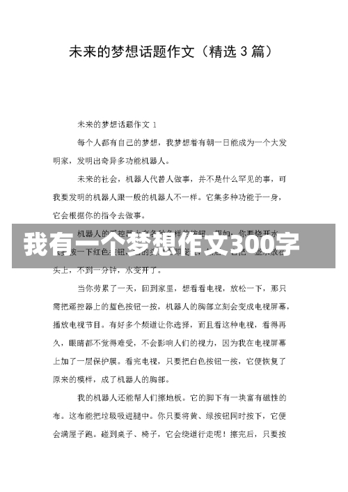 我有一个梦想作文300字